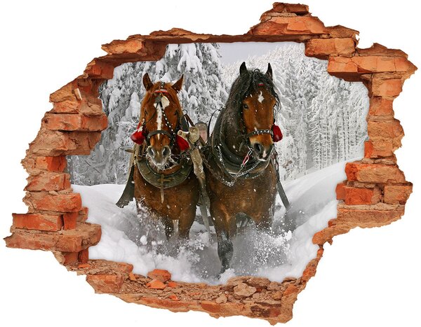 Díra 3D fototapeta na stěnu nálepka Sáně jízda nd-c-2040234
