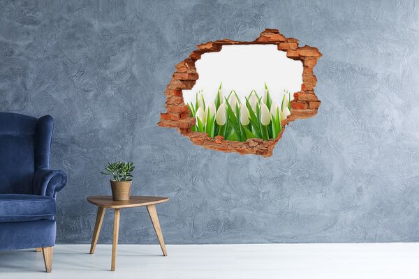 Samolepící nálepka fototapeta Bílé tulipány nd-c-30153186