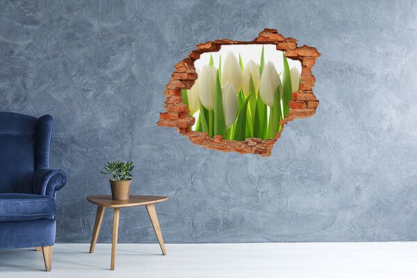 Samolepící nálepka fototapeta Tulipány nd-c-28819889