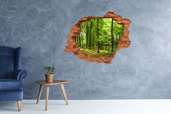Díra 3D ve zdi nálepka Lesní stezka nd-c-35316050