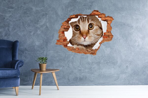 Díra 3D fototapeta nálepka Kočka nd-c-35664648