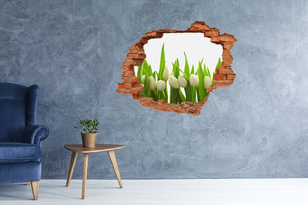 Samolepící nálepka na zeď Bílé tulipány nd-c-40774643