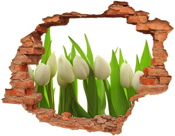 Samolepící nálepka na zeď Bílé tulipány nd-c-40774671
