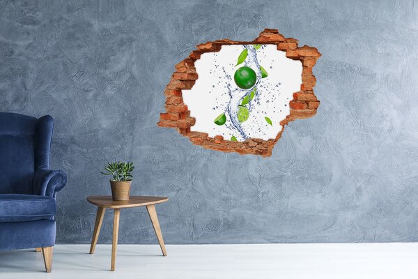 Nálepka 3D díra na zeď Limetky a voda nd-c-43956192