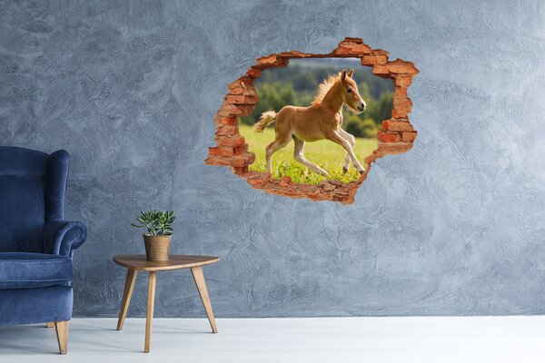 Díra 3D fototapeta nálepka Hříbě ve cvalu nd-c-44307287