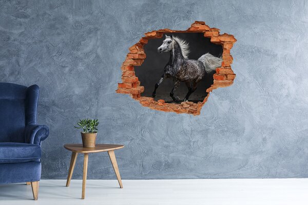 Díra 3D fototapeta na stěnu Šedý arabský kůň nd-c-49747605