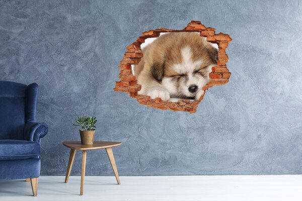 Díra 3D fototapeta nálepka Štěně Akity nd-c-49805861
