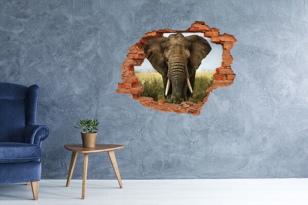 Díra 3D fototapeta na stěnu Sloni na savaně nd-c-51170548