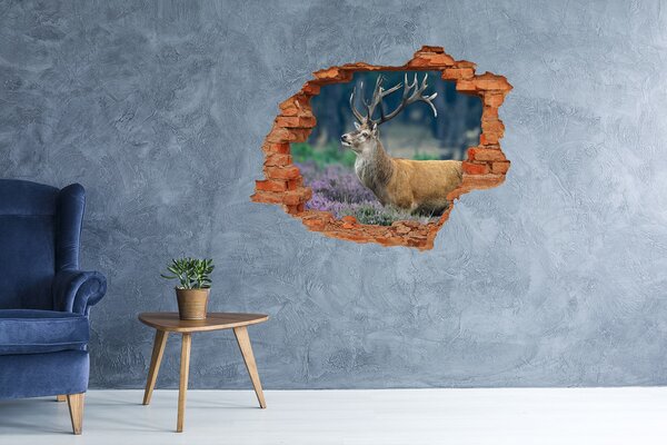 Fototapeta díra na zeď Jelen mezi levandulí nd-c-52700741