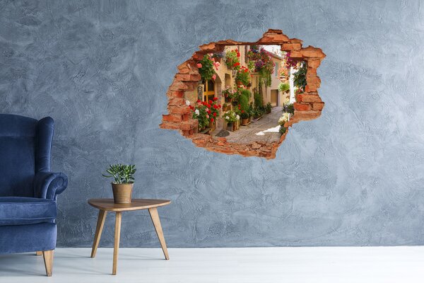 Fototapeta díra na zeď 3D Romantická ulička nd-c-53374967