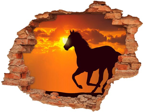 Díra 3D fototapeta na stěnu Kůň západ slunce nd-c-53365535