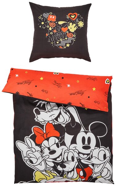 POVLEČENÍ PRO MLÁDEŽ, renforcé, vícebarevná, 135/200 cm Disney - Online Only povlečení, Online Only