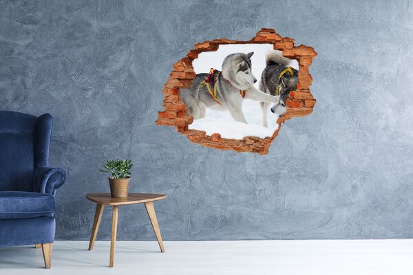 Díra 3D fototapeta na stěnu Hasky zima nd-c-56011790