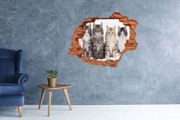 Díra 3D fototapeta nálepka Šest koček nd-c-57635875