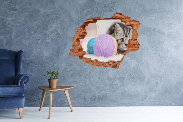 Díra 3D fototapeta nálepka Kočka nd-c-58337219