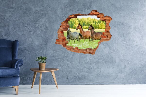 Díra 3D fototapeta nálepka Koně ve cvalu nd-c-58845191