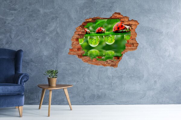 Díra 3D fototapeta na stěnu Berušky deštníky nd-c-58636971