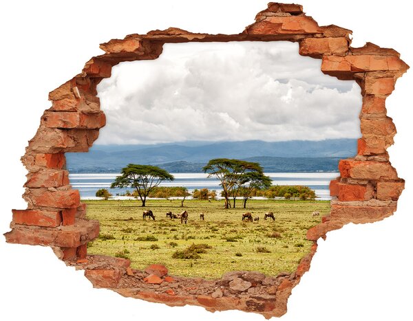 Nálepka fototapeta 3D výhled Jezero Naivasha nd-c-60219348