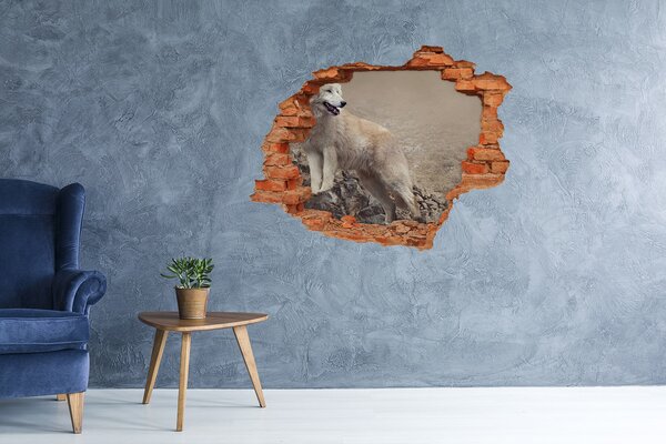 Díra 3D fototapeta na stěnu Bílý vlk na skále nd-c-60381309