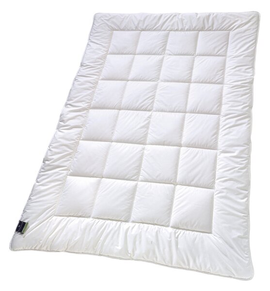 CELOROČNÍ PŘIKRÝVKA, 135/200 cm, polyester Billerbeck - Přikrývky, Online Only