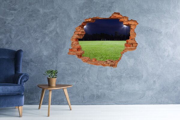 Fototapeta díra na zeď 3D Fotbalové hřiště nd-c-65103124