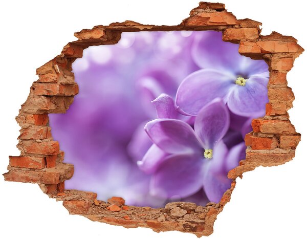 Samolepící díra na stěnu Květiny šeříku nd-c-64853789