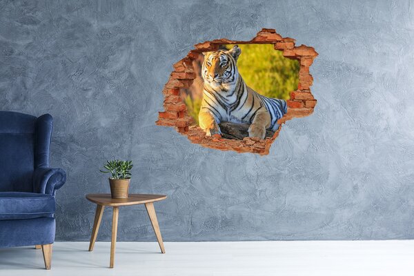 Díra 3D fototapeta nálepka Portrét tygra nd-c-65114965