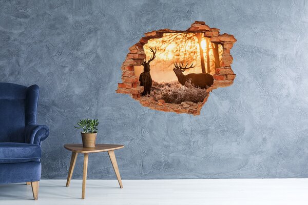 Díra 3D fototapeta nálepka Jeleni východ nd-c-65543107