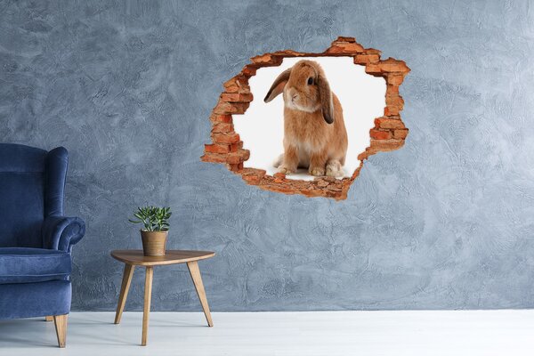 Díra 3D fototapeta nálepka Červený králík nd-c-65984756