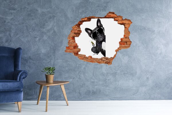 Díra 3D fototapeta nálepka Pes s martini nd-c-65998306