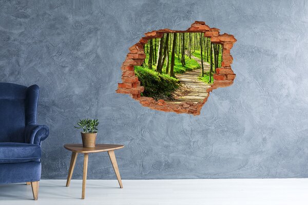 Nálepka fototapeta 3D výhled Stezka v lese nd-c-66127033