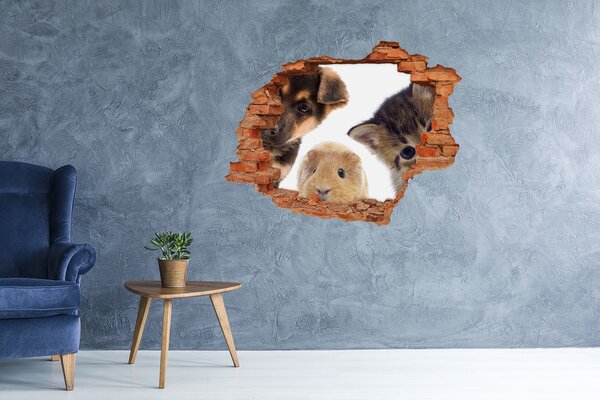 Díra 3D fototapeta nálepka Domácí zvířata nd-c-67306538