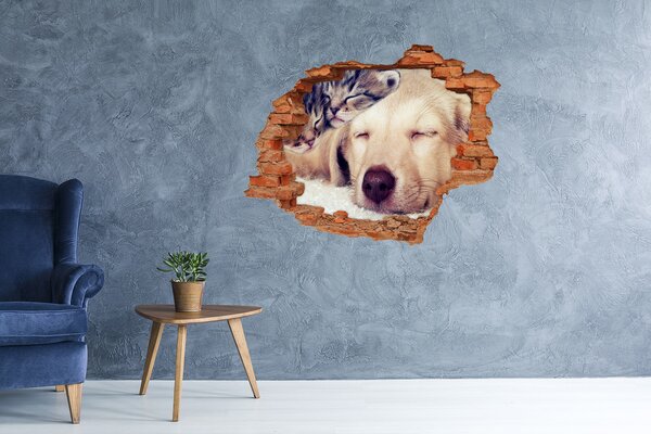 Díra 3D fototapeta na stěnu Štěně a kočky nd-c-67600578