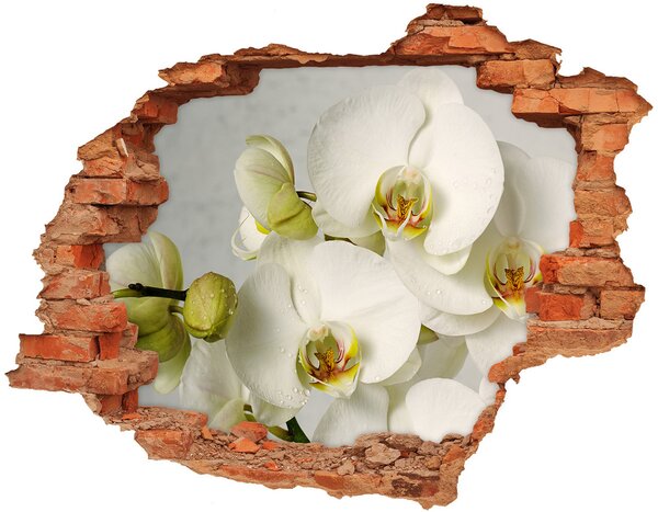 Samolepící díra nálepka Bílá orchidej nd-c-67521473