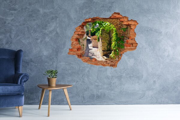 Fototapeta díra na zeď 3D Romantická ulička nd-c-67904819