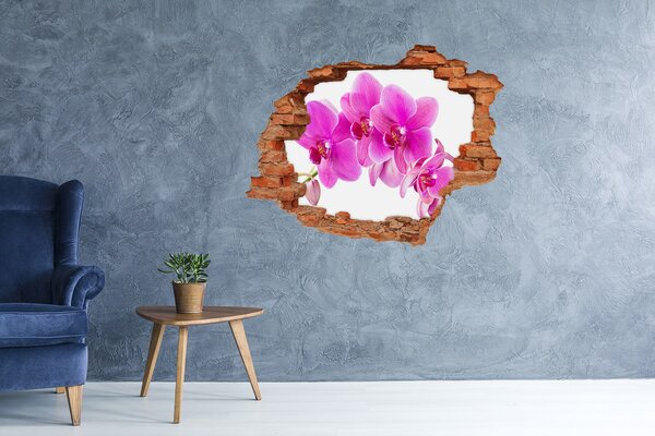 Samolepící díra nálepka Růžová orchidej nd-c-67673367