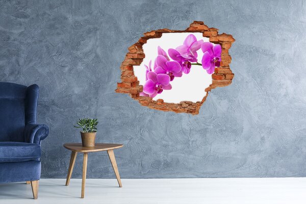 Samolepící díra nálepka Růžová orchidej nd-c-67691978