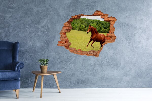 Díra 3D fototapeta na stěnu Kůň na louce nd-c-68119926