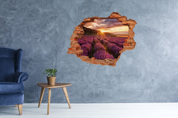 Nálepka fototapeta 3D výhled Pole levandule nd-c-68209726