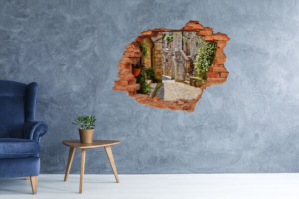 Fototapeta díra na zeď 3D Romantická ulička nd-c-69168241