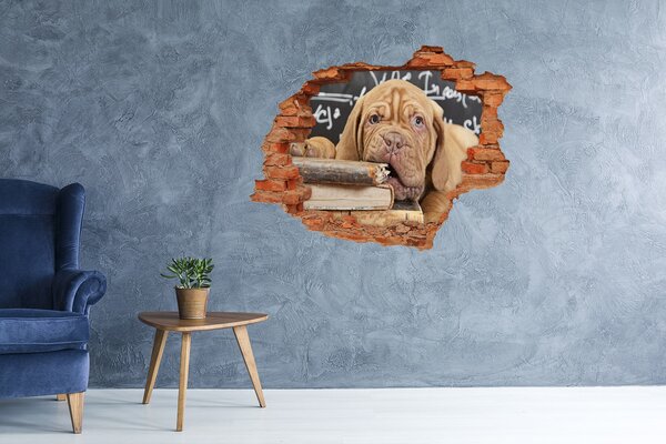 Díra 3D fototapeta Pes kouše knížku nd-c-69378395