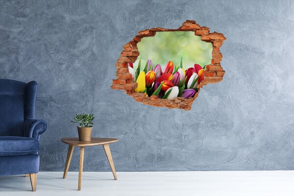 Samolepící díra na stěnu Barevné tulipány nd-c-69344290