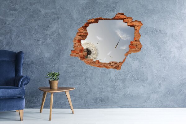 Fototapeta díra na zeď Pampeliška nd-c-7095311