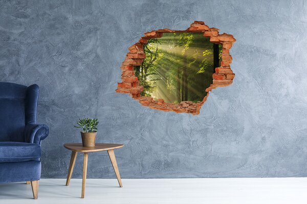 Nálepka fototapeta 3D výhled Les slunce nd-c-71351198