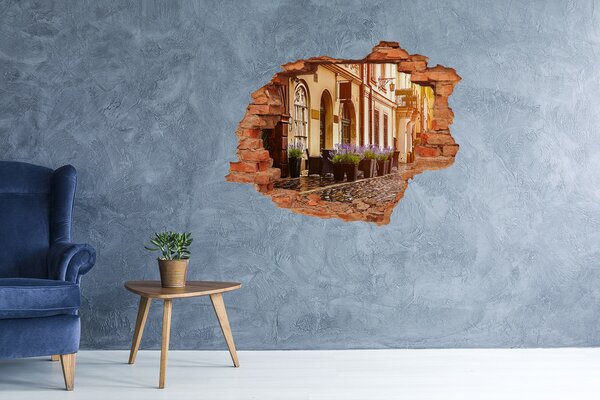Fototapeta díra na zeď 3D Krakov Polsko nd-c-71699310