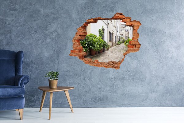 Fototapeta díra na zeď 3D Romantická ulička nd-c-71927605