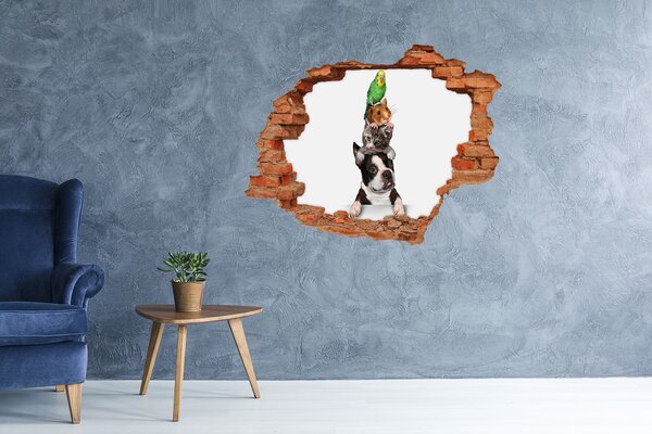 Díra 3D fototapeta na stěnu Zvířata nd-c-71830609