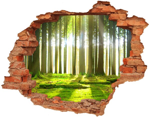 Nálepka fototapeta 3D výhled Les slunce nd-c-72227147