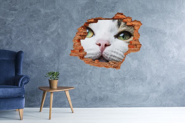 Díra 3D fototapeta nálepka Zelená kočičí oči nd-c-72425776