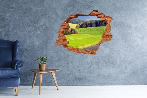 Nálepka fototapeta 3D výhled Polní cesta nd-c-72725043